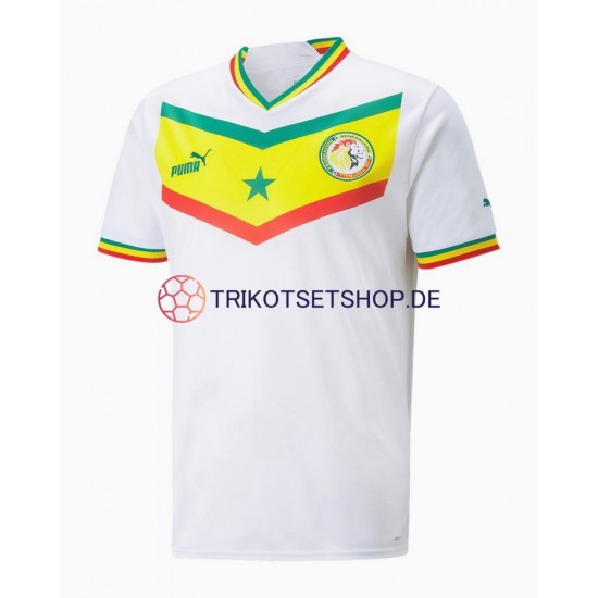 Senegal World Cup 2022 Herren Trikot Heim Kurzarm