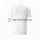 Serbien World Cup 2022 Herren Trikot Auswärts Kurzarm
