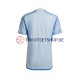 Spanien World Cup 2022 Herren Trikot Auswärts Kurzarm