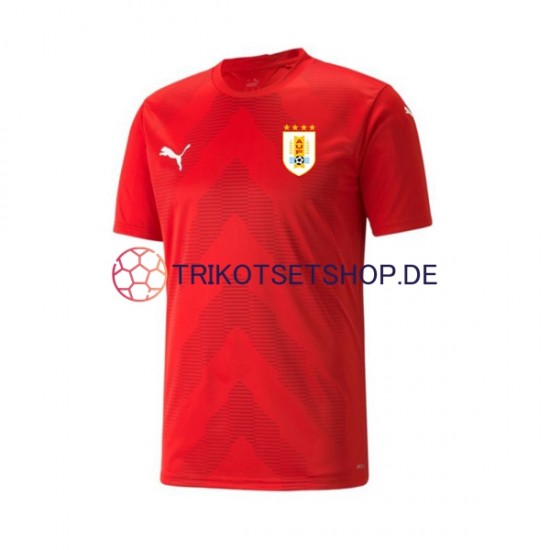 Uruguay World Cup 2022 Torwart Herren Trikot Heim Kurzarm