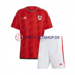 Wales World Cup 2022 Kinder Trikotset Heim Kurzarm
