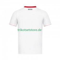Eintracht Frankfurt 2024-2025 Herren Trikot Auswärts Kurzarm