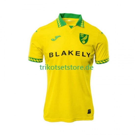 Norwich City 2025-2026 Herren Trikot Heim Kurzarm