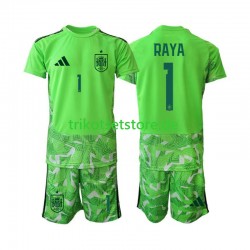 Spanien Torwart David Raya 1 6th Green color World Cup 2026 Kinder Trikotset Kurzarm