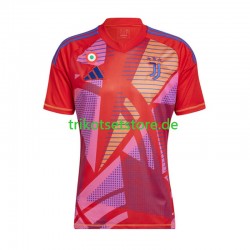 Juventus Turin Torwart 2024-2025 Herren Trikot Heim Kurzarm