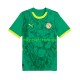 Senegal 2025 Herren Trikot Auswärts Kurzarm