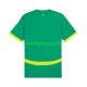 Senegal 2025 Herren Trikot Auswärts Kurzarm