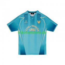 Venezia 2024-2025 Herren Trikot Ausweich Kurzarm