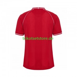 Dänemark 2026 Herren Trikot Heim Kurzarm