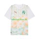 Elfenbeinküste World Cup 2026 Herren Trikot Auswärts Kurzarm