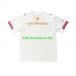 PSV Eindhoven Efteling 2025-2026 Herren Trikot Viertes Kurzarm