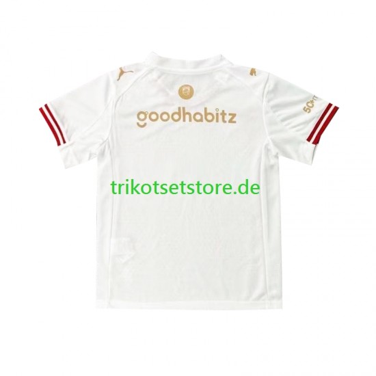 PSV Eindhoven Efteling 2025-2026 Herren Trikot Viertes Kurzarm