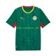 Senegal 2026 2027 Herren Trikot Auswärts Kurzarm