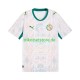 Senegal 2026 2027 Herren Trikot Heim Kurzarm