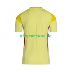 Celtic Glasgow Torwart FC 2025-2026 Herren Trikot Heim Kurzarm