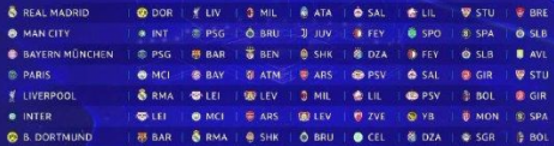 Lille qualifizierte sich nach vielen Jahren für die Champions League