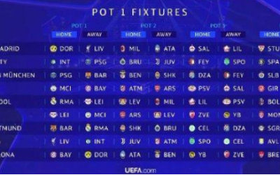 Lille qualifizierte sich nach vielen Jahren für die Champions League