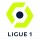 Ligue 1  + 2,45€ 