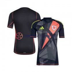 Wales Torwart 2024 Herren Trikot Heim Schwarz Kurzarm