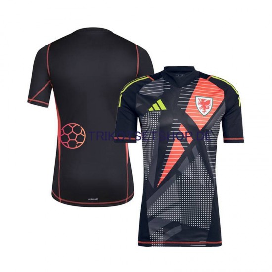 Wales Torwart 2024 Herren Trikot Heim Schwarz Kurzarm