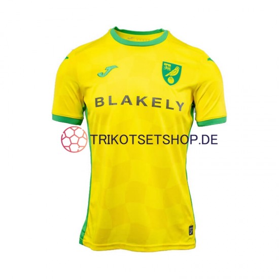 Norwich City 2024-2025 Herren Trikot Heim Kurzarm